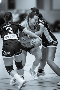 Bild 221 - F HSG Pinnau2 - Rellinger TV2 : Ergebnis: 27:20